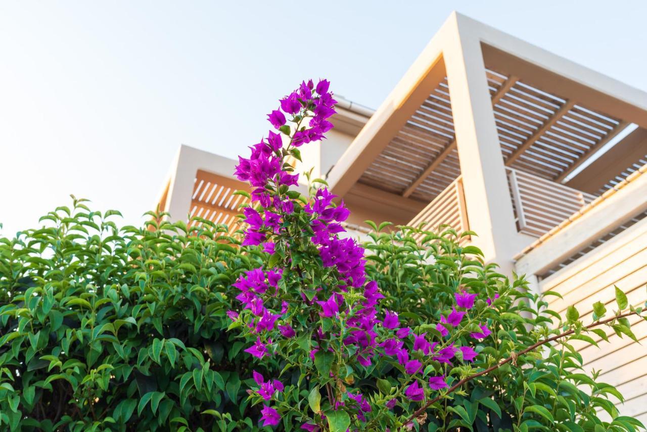 Aelia Home Suites 马拉松波利斯 外观 照片